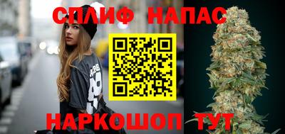 шишки Будённовск