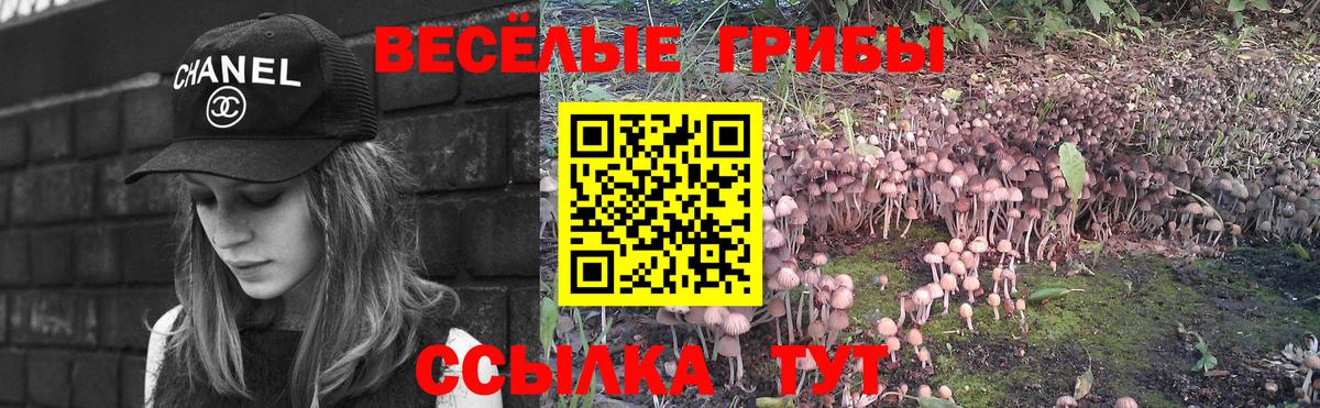 Галлюциногенные грибы мухоморы Пенза